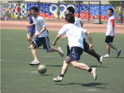 或许会带动 或许会带动